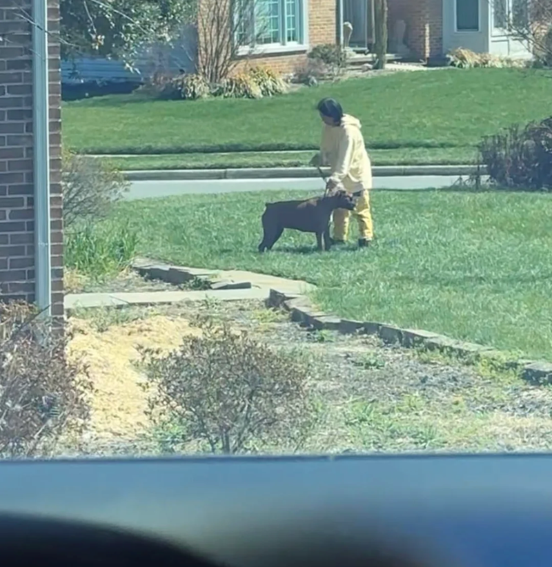 Cheezburger Image 10617868544