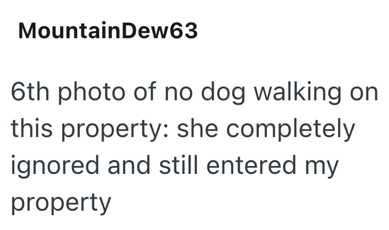 MountainDew63 6th photo of no dog walking on this property: she completely ignored and still entered my property