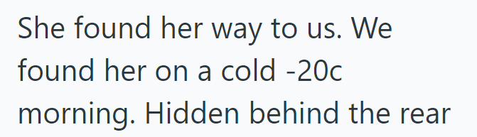 She found her way to us. We found her on a cold -20c morning. Hidden behind the rear