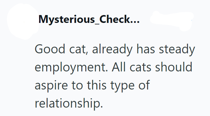 Mysterious_Check... Good cat, already has steady employment. All cats should aspire to this type of relationship.