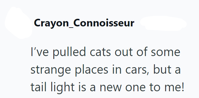 Crayon_Connoisseur I've pulled cats out of some strange places in cars, but a tail light is a new one to me!