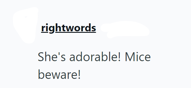 rightwords She's adorable! Mice beware!