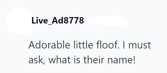 Live_Ad8778 Adorable little floof. I must ask, what is their name!