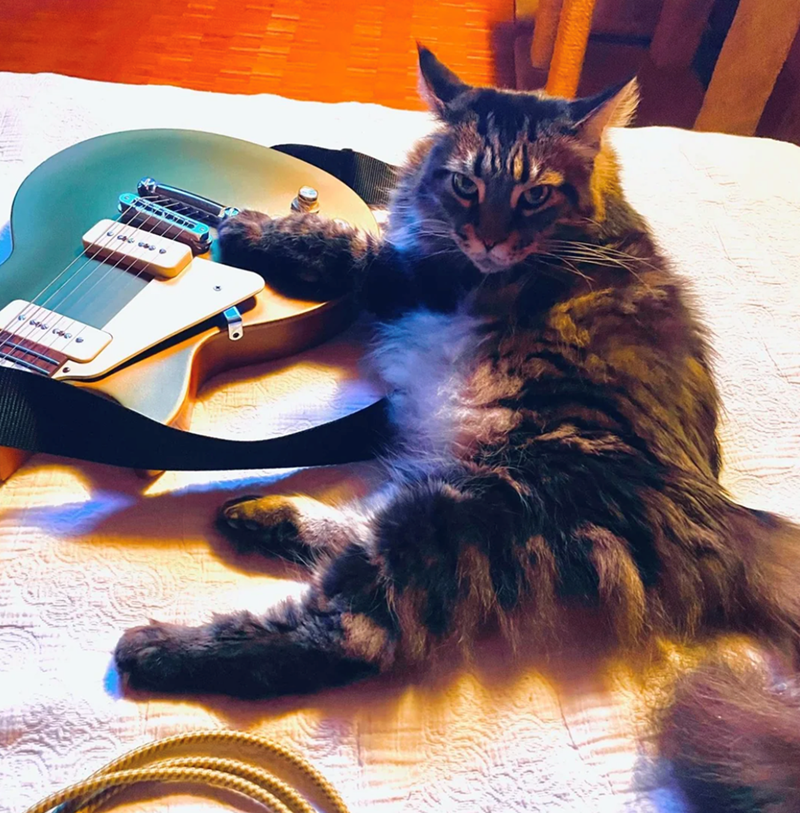 Cheezburger Image 10617879552