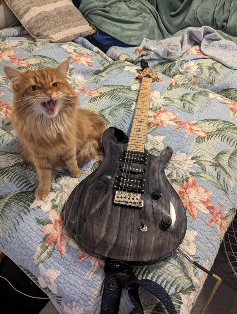 Cheezburger Image 10617879808