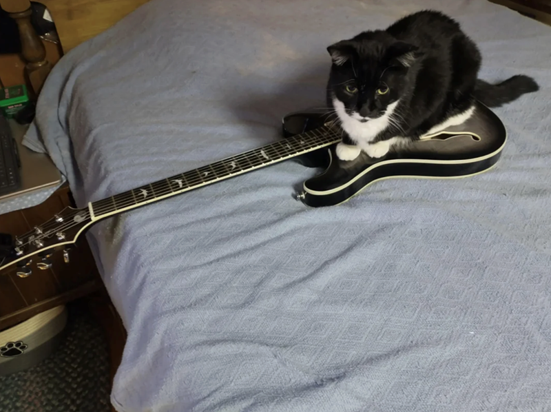 Cheezburger Image 10617880064