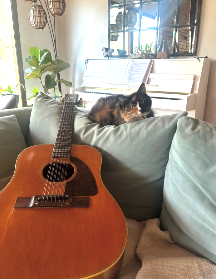 Cheezburger Image 10617881344