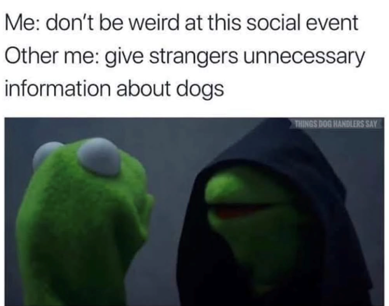 Me: don't be weird at this social event Other me: give strangers unnecessary information about dogs THINGS DOG HANDLERS SAY