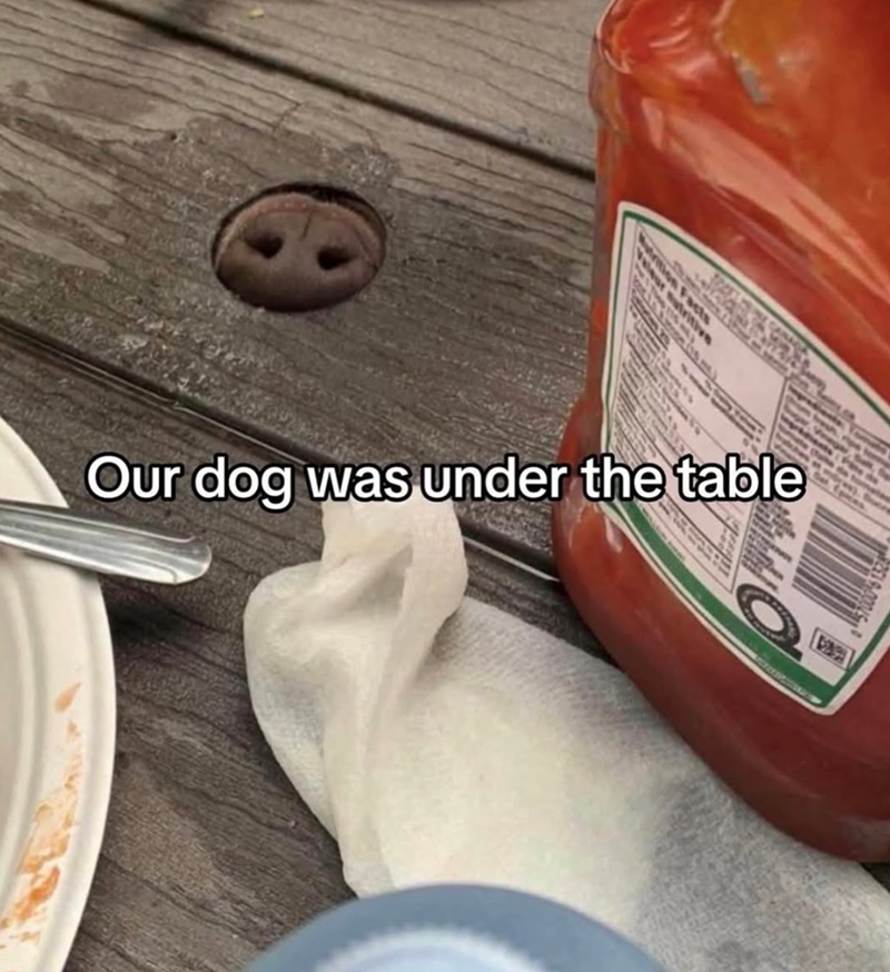ur sutritiv Our dog was under the table