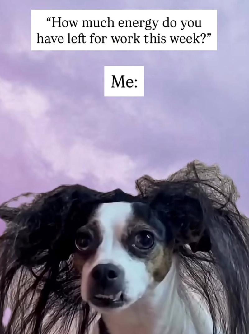 "How much energy do you have left for work this week?" Me: