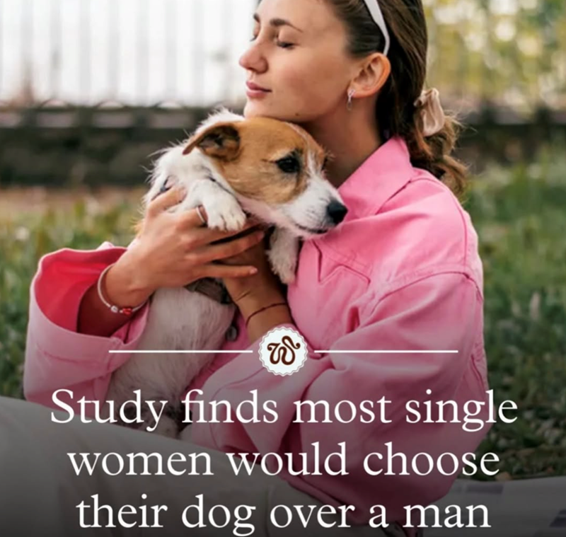 W Study finds most single women would choose their dog over a man