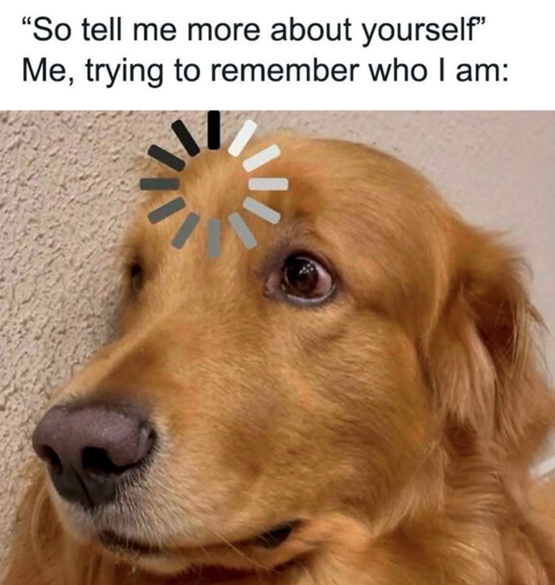 "So tell me more about yourself" Me, trying to remember who I am: