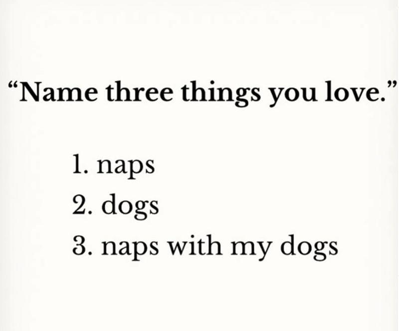 "Name three things you love." 1. naps 2. dogs 3. naps with my dogs