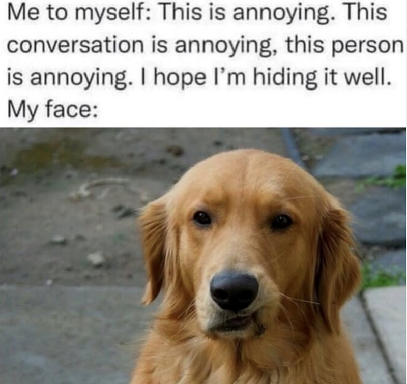 Me to myself: This is annoying. This conversation is annoying, this person is annoying. I hope I'm hiding it well. My face: