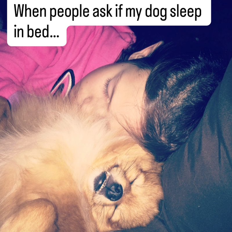 When people ask if my dog sleep. in bed...