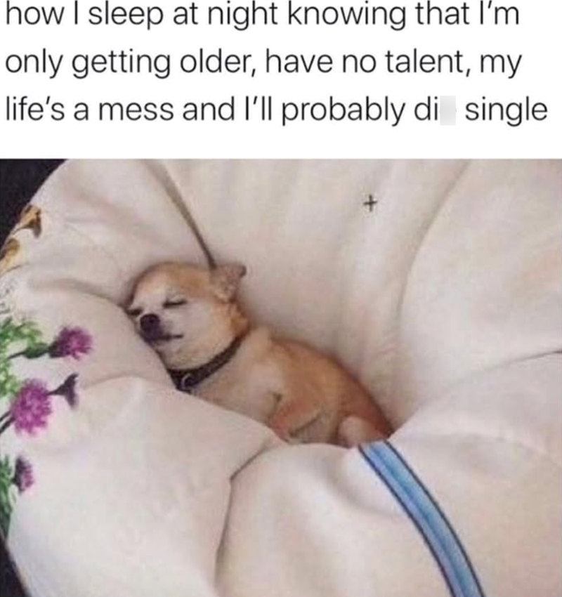 how I sleep at night knowing that I'm only getting older, have no talent, my life's a mess and I'll probably di single