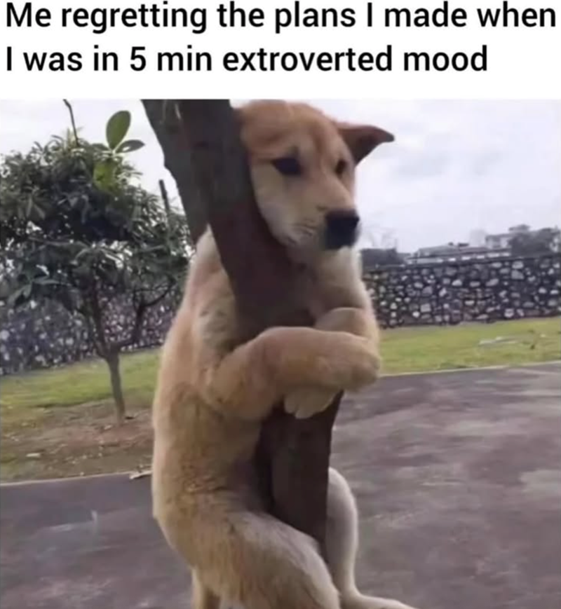 Me regretting the plans I made when I was in 5 min extroverted mood