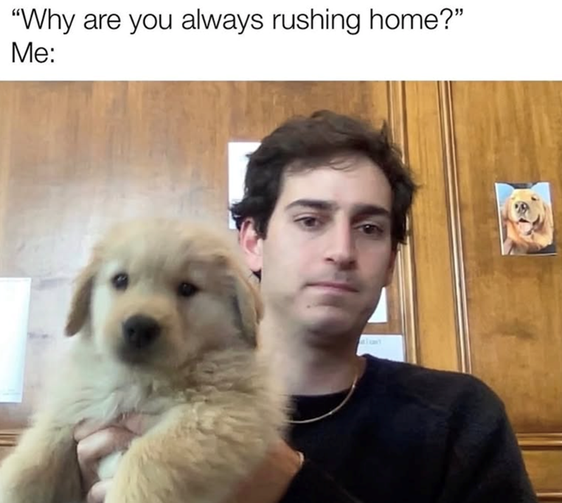 "Why are you always rushing home?" Me: