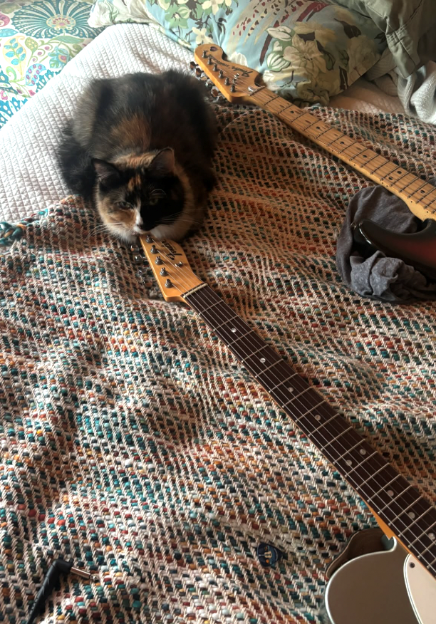 Cheezburger Image 10617890304