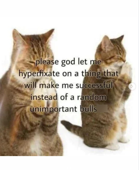 please god let me hyperfixate on a thing that will make me successful instead of a random unimportant bulls