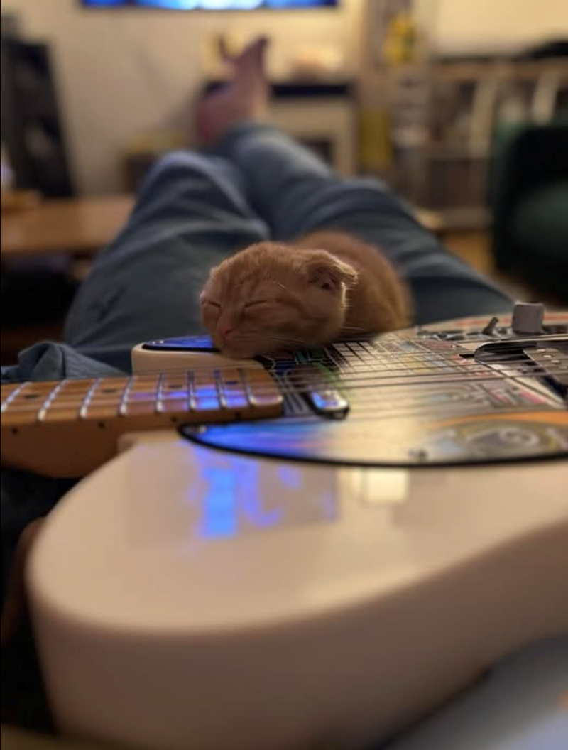 Cheezburger Image 10617897984