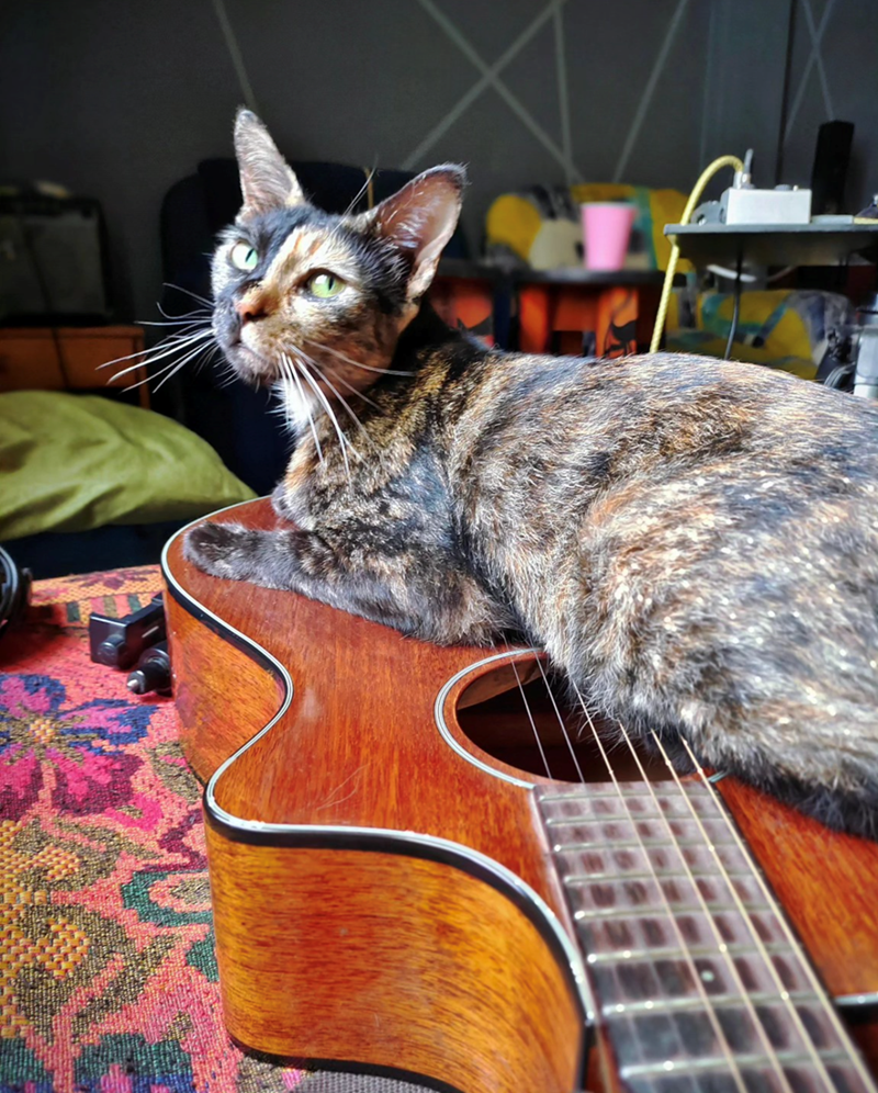 Cheezburger Image 10617898752