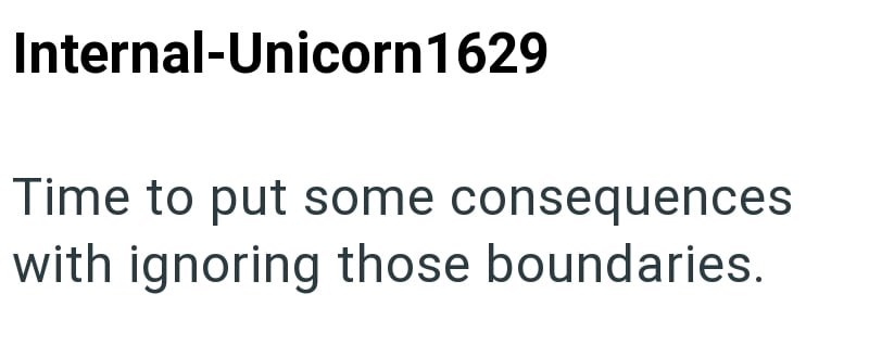 Internal-Unicorn 1629 Time to put some consequences with ignoring those boundaries.