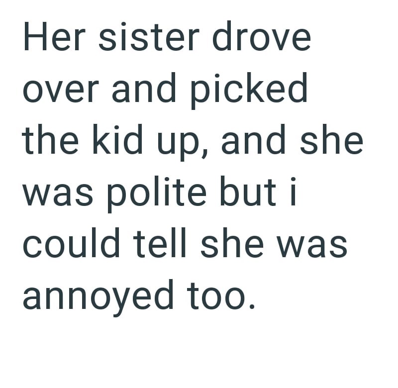 Her sister drove over and picked the kid up, and she was polite but i could tell she was annoyed too.