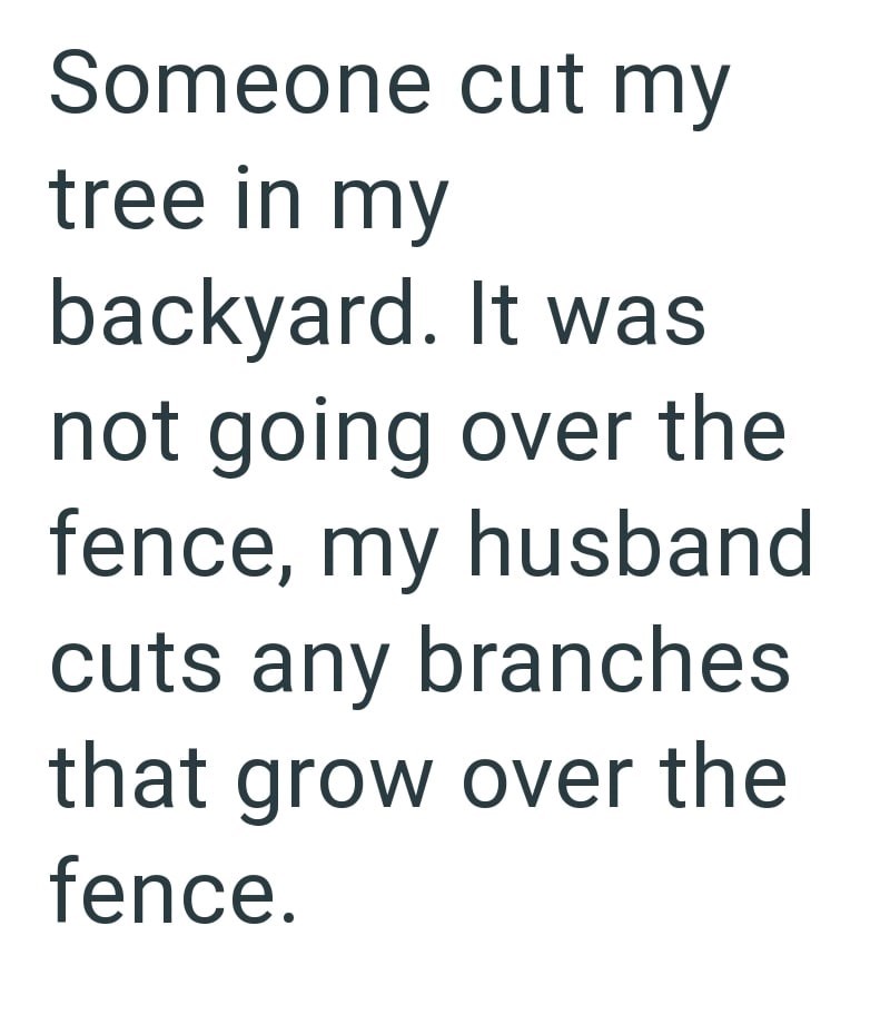 Someone cut my tree in my backyard. It was not going over the fence, my husband cuts any branches that grow over the fence.