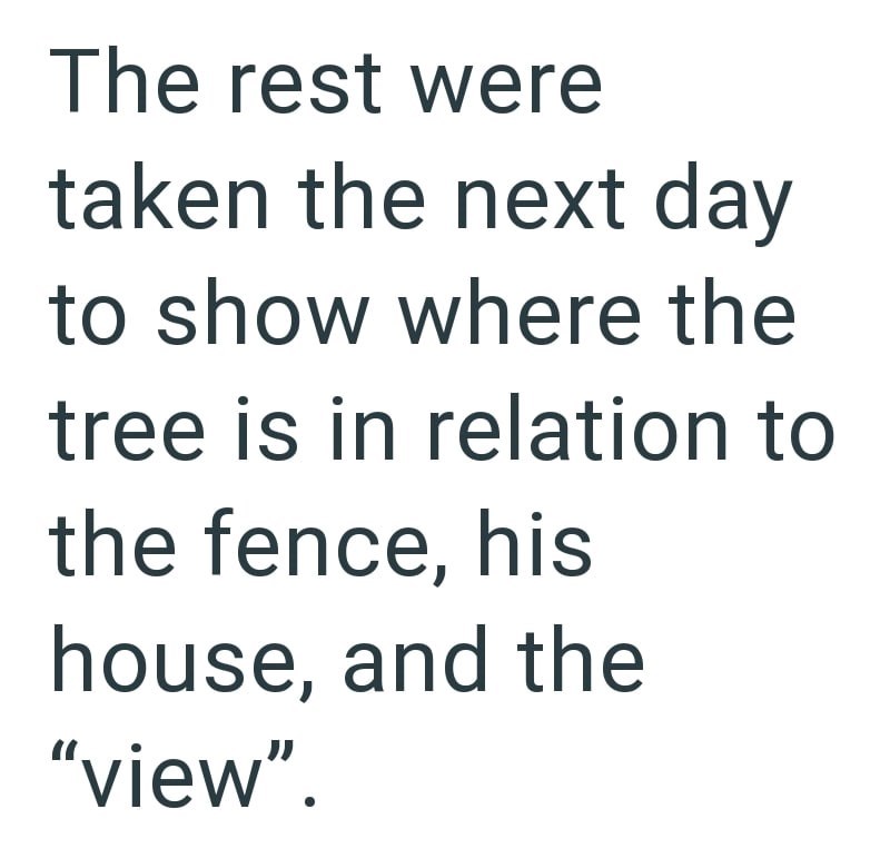 The rest were taken the next day to show where the tree is in relation to the fence, his house, and the "view".