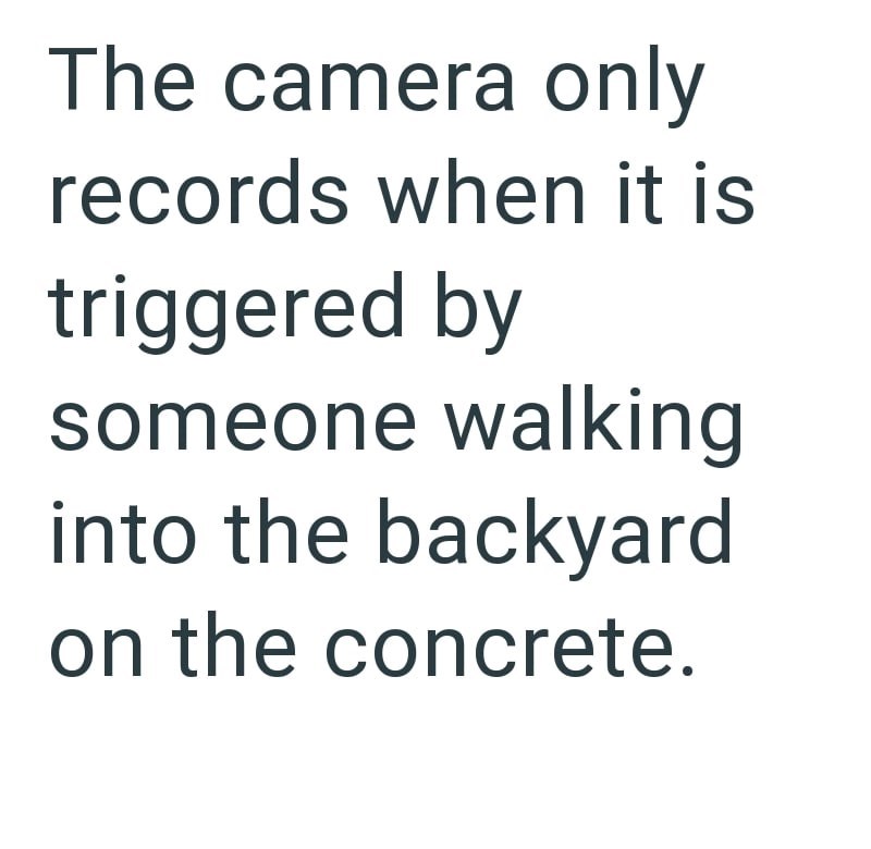 The camera only records when it is triggered by someone walking into the backyard on the concrete.