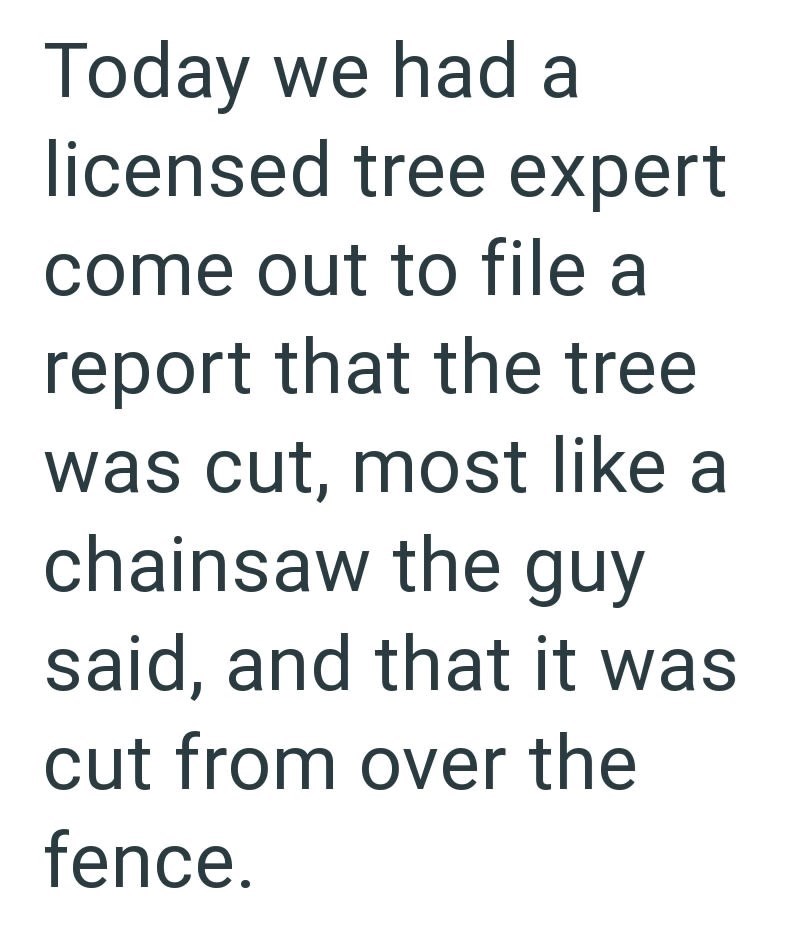 Today we had a licensed tree expert come out to file a report that the tree was cut, most like a chainsaw the guy said, and that it was cut from over the fence.