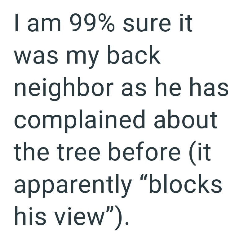 I am 99% sure it was my back neighbor as he has complained about the tree before (it apparently "blocks his view").