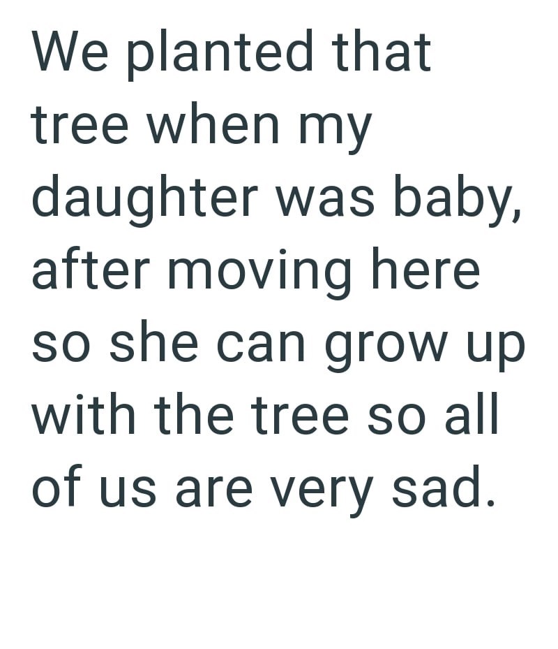We planted that tree when my daughter was baby, after moving here so she can grow up with the tree so all of us are very sad.
