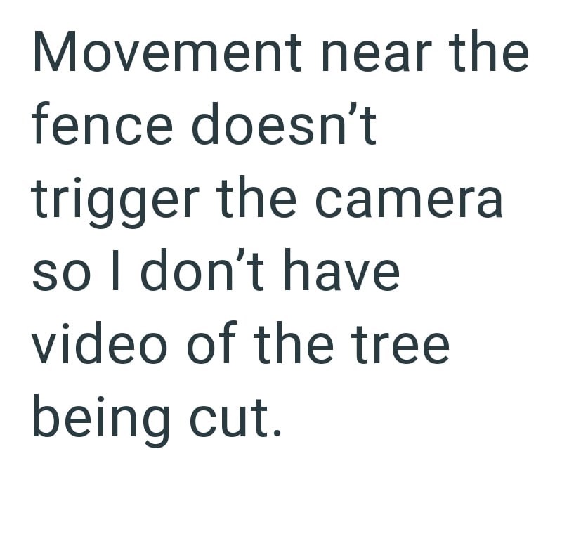 Movement near the fence doesn't trigger the camera so I don't have video of the tree being cut.