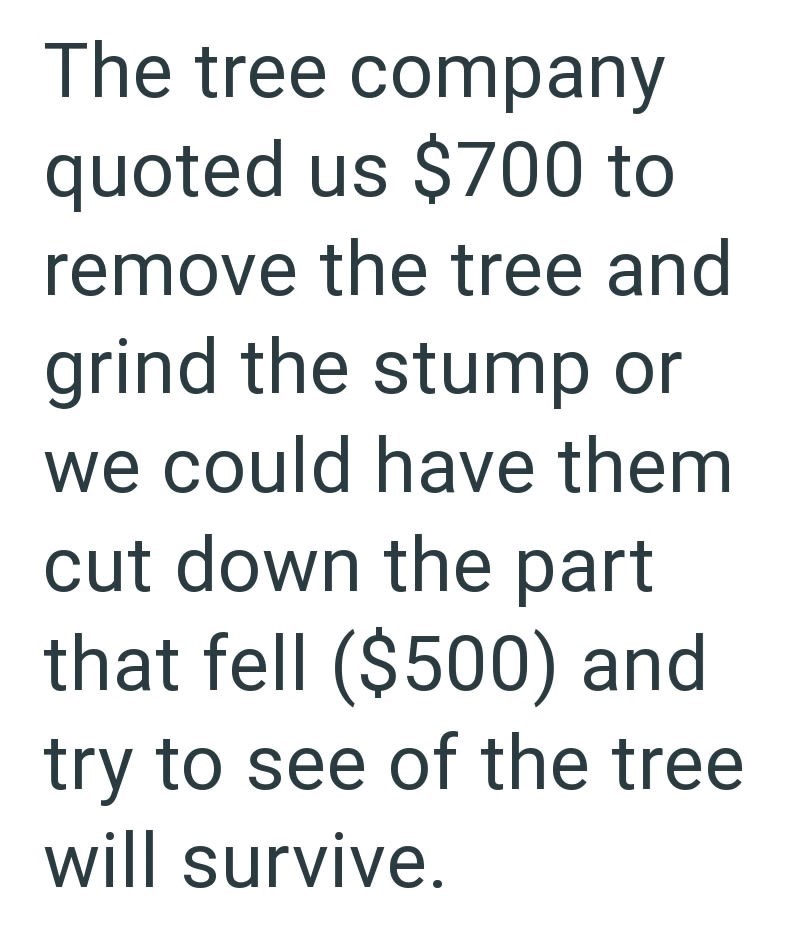 The tree company quoted us $700 to remove the tree and grind the stump or we could have them cut down the part that fell ($500) and try to see of the tree will survive.