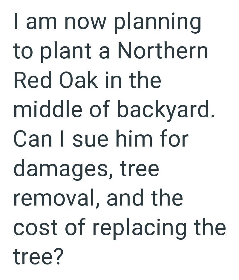 I am now planning to plant a Northern Red Oak in the middle of backyard. Can I sue him for damages, tree removal, and the cost of replacing the tree?