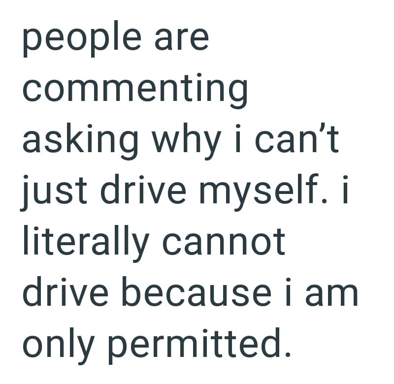 people are commenting asking why i can't just drive myself. i literally cannot drive because i am only permitted.