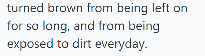 turned brown from being left on for so long, and from being exposed to dirt everyday.