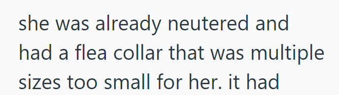 she was already neutered and had a flea collar that was multiple sizes too small for her. it had