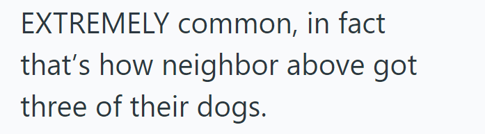 EXTREMELY common, in fact that's how neighbor above got three of their dogs.
