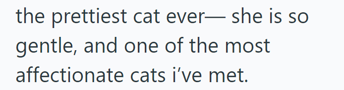 the prettiest cat ever― she is so gentle, and one of the most affectionate cats i've met.