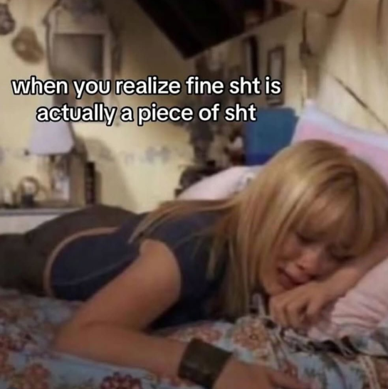 when you realize fine sht is actually a piece of sht