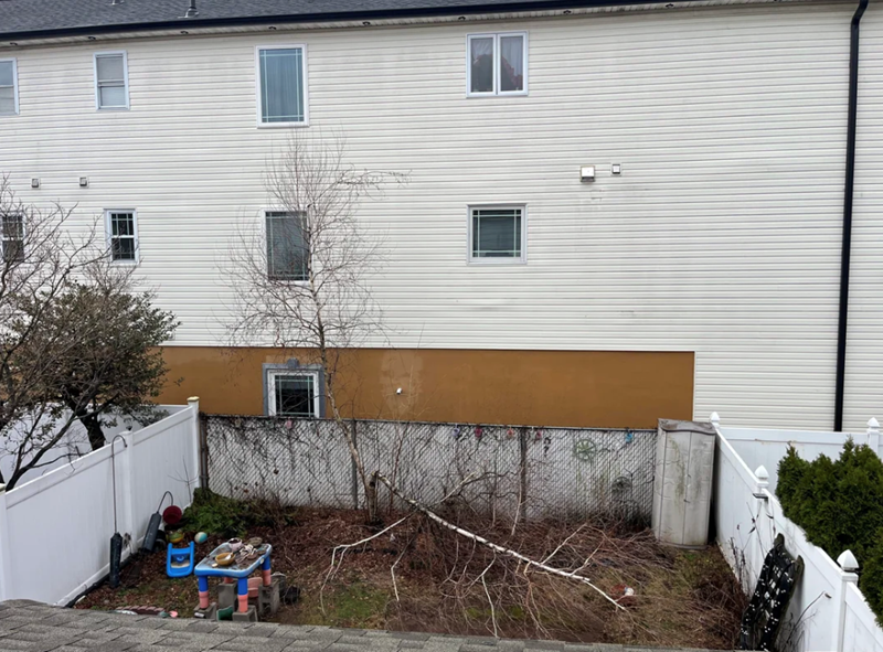 Cheezburger Image 10617978112