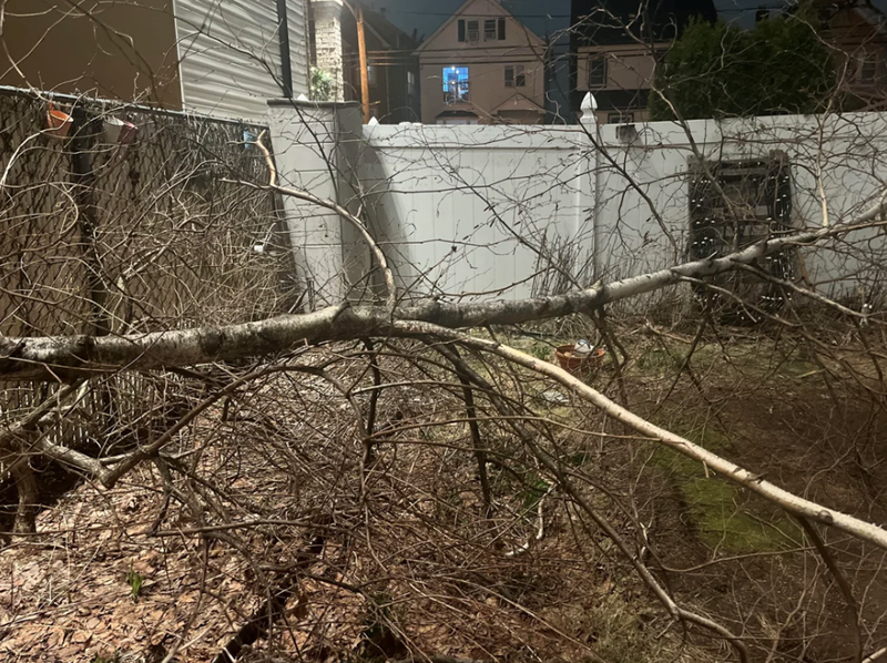 Cheezburger Image 10617978624