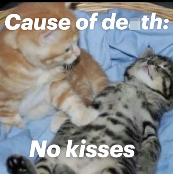 Cause of death: No kisses