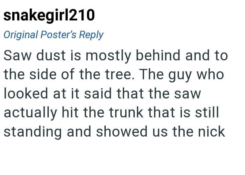 snakegirl210 Original Poster's Reply Saw dust is mostly behind and to the side of the tree. The guy who looked at it said that the saw actually hit the trunk that is still standing and showed us the nick