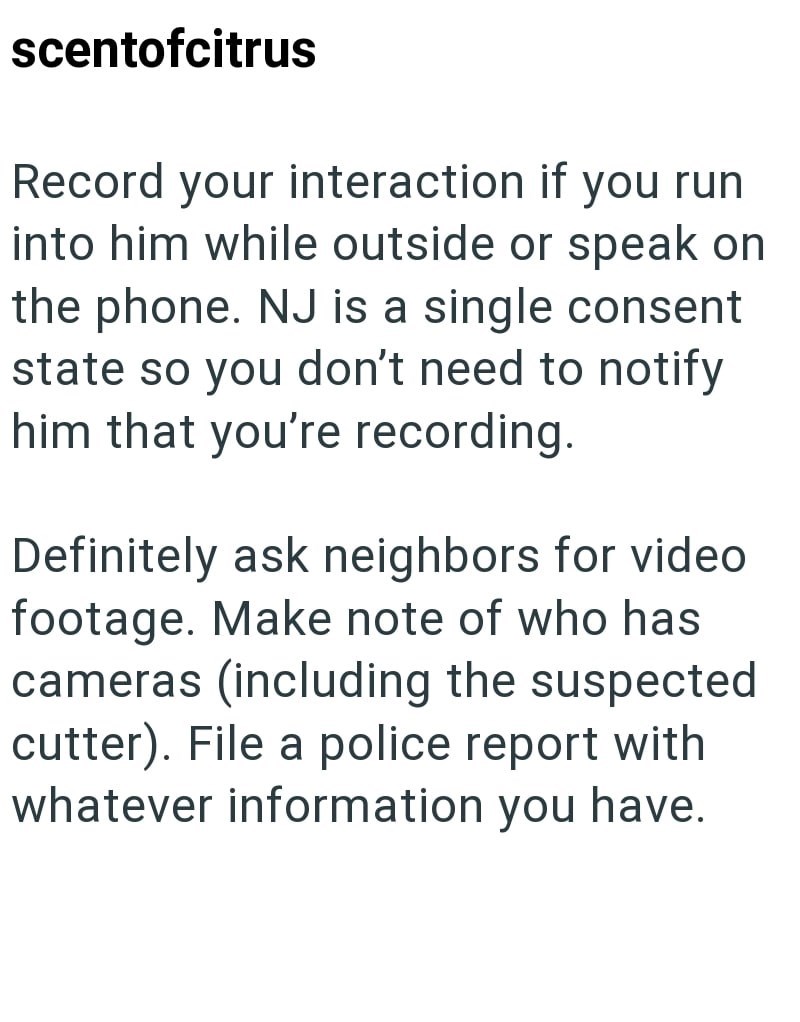 scentofcitrus Record your interaction if you run into him while outside or speak on the phone. NJ is a single consent state so you don't need to notify him that you're recording. Definitely ask neighbors for video footage. Make note of who has cameras (including the suspected cutter). File a police report with whatever information you have.