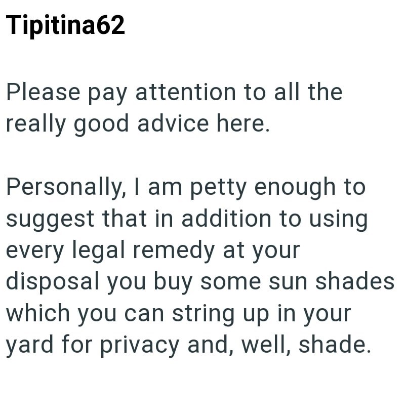 Tipitina62 Please pay attention to all the really good advice here. Personally, I am petty enough to suggest that in addition to using every legal remedy at your disposal you buy some sun shades which you can string up in your yard for privacy and, well, shade.