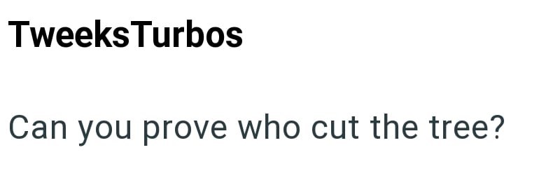 Tweeks Turbos Can you prove who cut the tree?